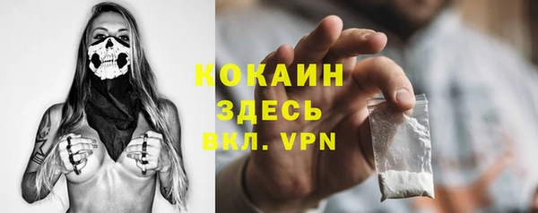 крисы Ладушкин