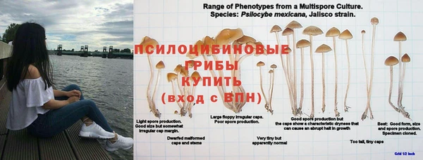 скорость Лабытнанги